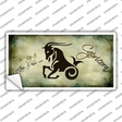 Capricorn Zodiac Novelty Sticker Decal