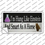 Hung Like Einstein Novelty Sticker Decal