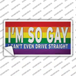 Im So Gay Novelty Sticker Decal