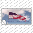 God Bless America Novelty Sticker Decal