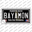 Bayamon Puerto Rico Black Novelty Sticker Decal