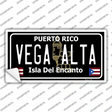 Vega Alta Puerto Rico Black Novelty Sticker Decal