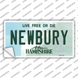 Newbury New Hampshire Novelty Sticker Decal