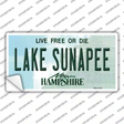 Lake Sunapee New Hampshire Novelty Sticker Decal