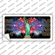 Lady Liberty Fireworks Novelty Sticker Decal LP-14549s