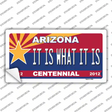 Arizona Centennial It Is What It Is Novelty Sticker Decal