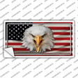 USA Eagle Novelty Sticker Decal