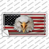 USA Eagle Novelty Sticker Decal