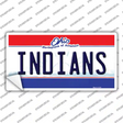 Indians Ohio State Novelty Sticker Decal