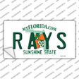 Rays Florida State Novelty Sticker Decal