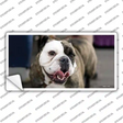 Bulldog Dog Novelty Sticker Decal