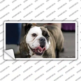Bulldog Dog Novelty Sticker Decal