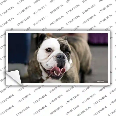 Bulldog Dog Novelty Sticker Decal