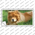 Chow Chow Dog Novelty Sticker Decal