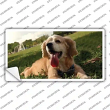 Cocker Spaniel Dog Novelty Sticker Decal