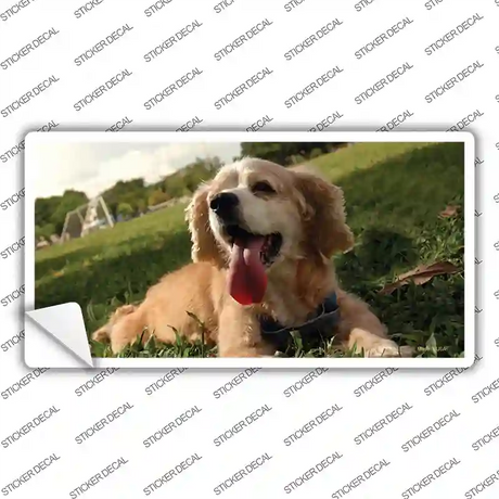 Cocker Spaniel Dog Novelty Sticker Decal