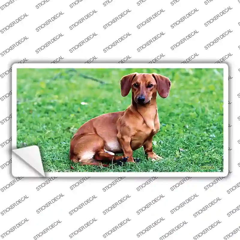 Dachshund Dog Novelty Sticker Decal