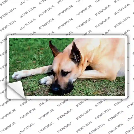 Great Dane Dog Novelty Sticker Decal