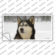 Husky Dog Novelty Sticker Decal