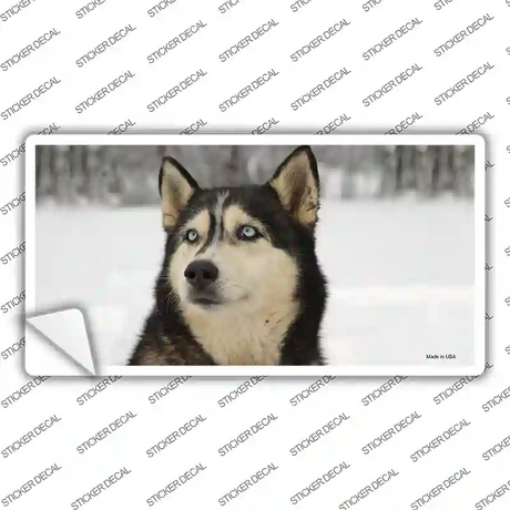 Husky Dog Novelty Sticker Decal