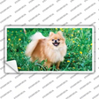 Pomeranian Dog Novelty Sticker Decal