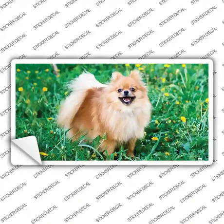 Pomeranian Dog Novelty Sticker Decal