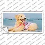 Poodle Dog Novelty Sticker Decal