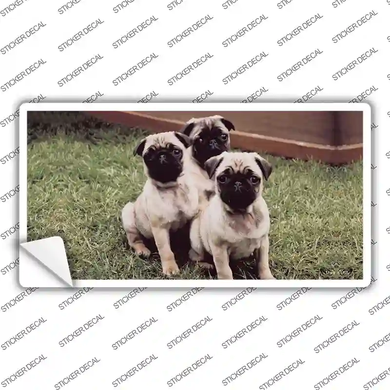 Pug Dog Novelty Sticker Decal