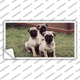 Pug Dog Novelty Sticker Decal