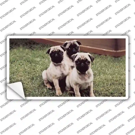 Pug Dog Novelty Sticker Decal
