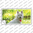 West Highland Dog Terrier Novelty Sticker Decal