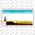 Arizona State Blank Novelty Sticker Decal