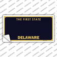 Delaware State Blank Novelty Sticker Decal