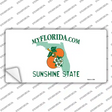 Florida State Blank Novelty Sticker Decal