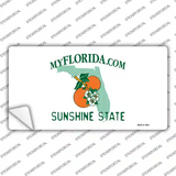 Florida State Blank Novelty Sticker Decal