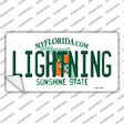 Lightning Florida State Novelty Sticker Decal