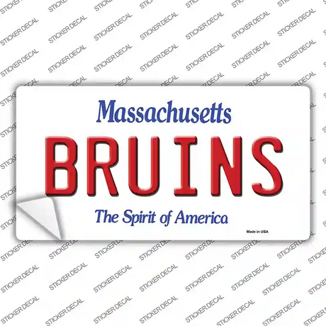 Bruins Massachusetts State Novelty Sticker Decal