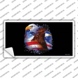 American Flag Eagles Novelty Sticker Decal