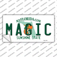 Magic Florida State Novelty Sticker Decal