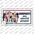 Grandparents Are Special People Novelty Sticker Decal