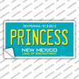 Princess New Mexico Teal Novelty Sticker Decal