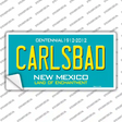 Carlsbad New Mexico Teal Novelty Sticker Decal
