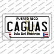 Caguas Novelty Sticker Decal