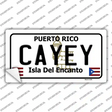Cayey Puerto Rico Novelty Sticker Decal