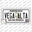 Vega Alta Puerto Rico Novelty Sticker Decal