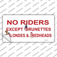 No Riders Except Novelty Sticker Decal