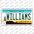 Williams Arizona Novelty Sticker Decal