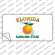 Florida State Background Novelty Sticker Decal