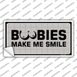 Boobies Make Me Smile Novelty Sticker Decal