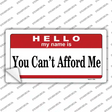 You Cant Afford Me Novelty Sticker Decal